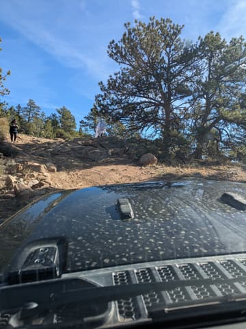 Photo from the Kelly Flats run