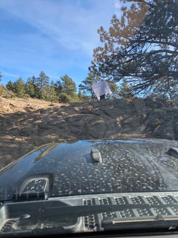 Photo from the Kelly Flats run