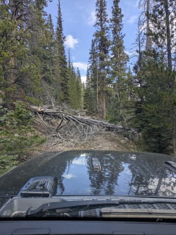 Photo from the Stevens and Grizzly Gulch run