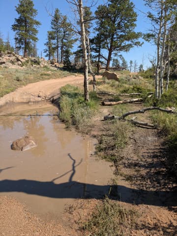 Photo from the Kelly Flats and Bald Mountain run