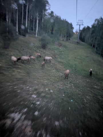Photo from the San Juans run