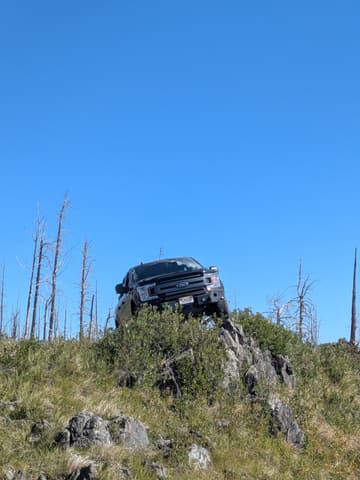 Photo from the trail