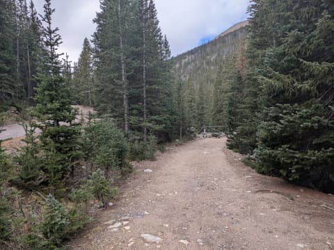 Photo from the Stevens and Grizzly Gulch run
