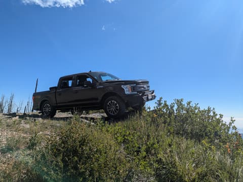 Photo from the trail