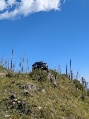 Photo from the trail