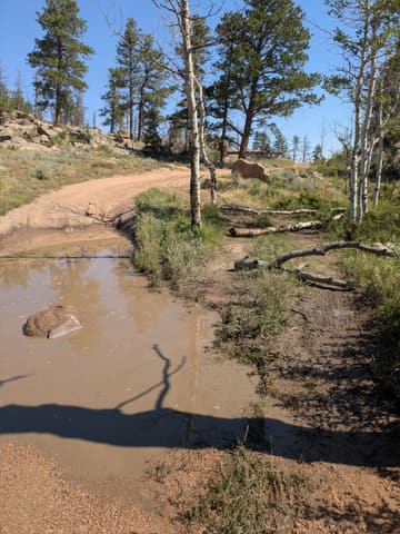Photo from the Kelly Flats and Bald Mountain run