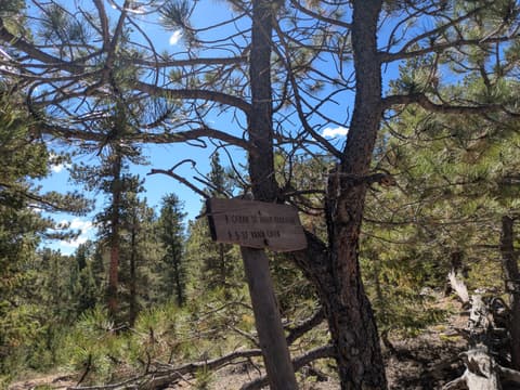 Photo from the Miller Rock run