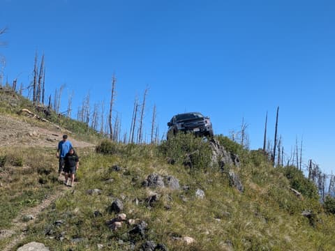 Photo from the trail