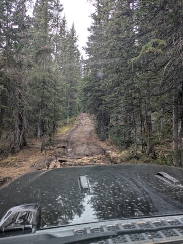 Photo from the Stevens and Grizzly Gulch run