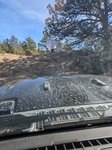 Photo from the Kelly Flats run
