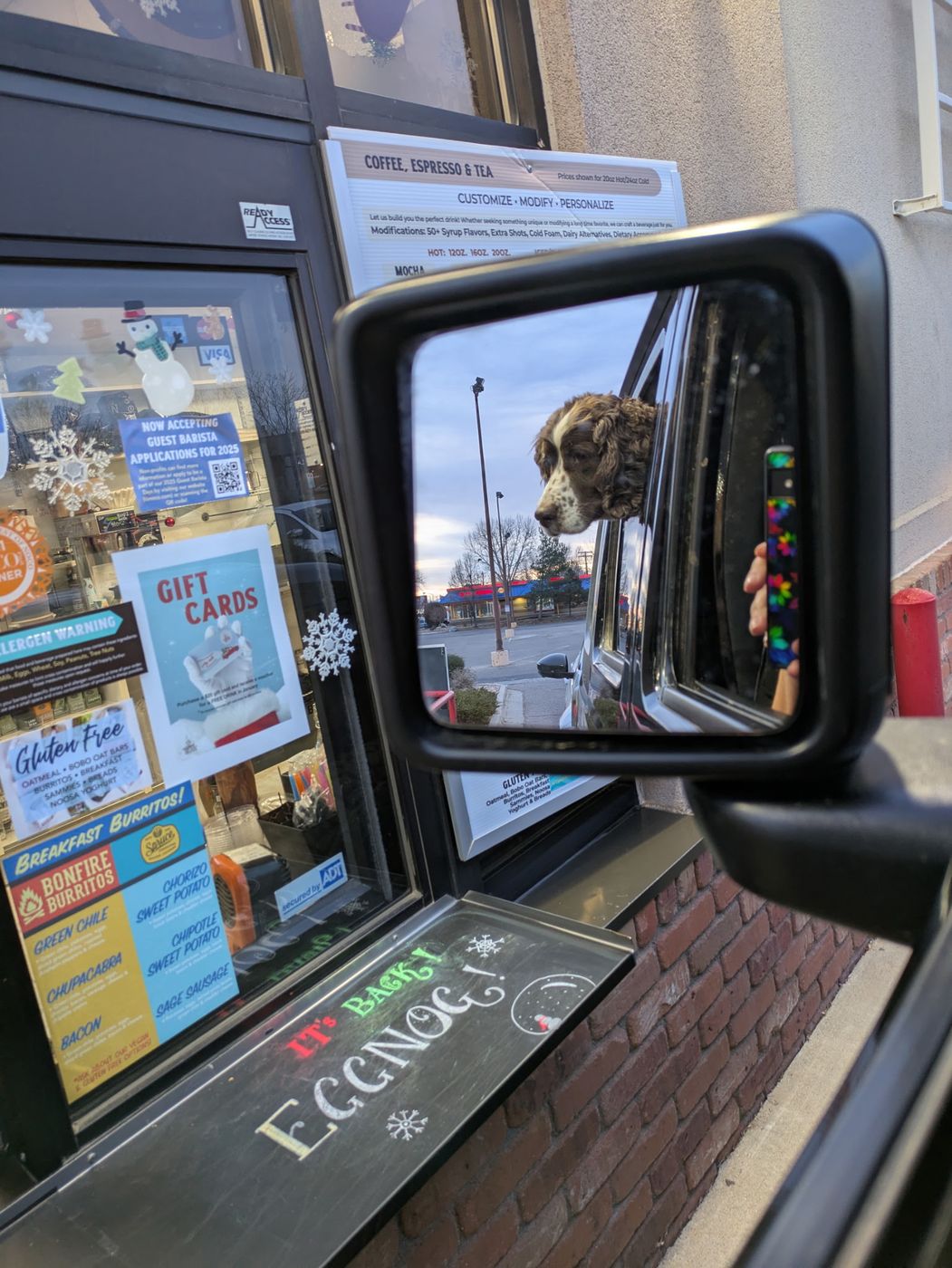 Maggie with her head out the Jeep window, reflected in the side mirror at a coffee drive-thru.