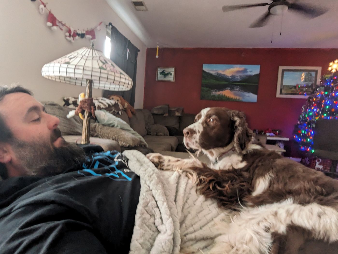 Maggie lying on a blanket across the person taking a couch selfie, eyeing him, with the Christmas tree lit up behind her.