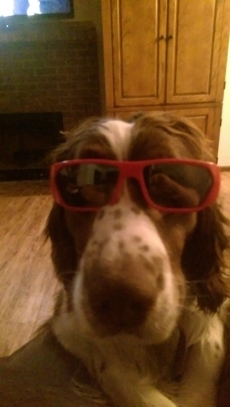 Maggie wearing red sunglasses.