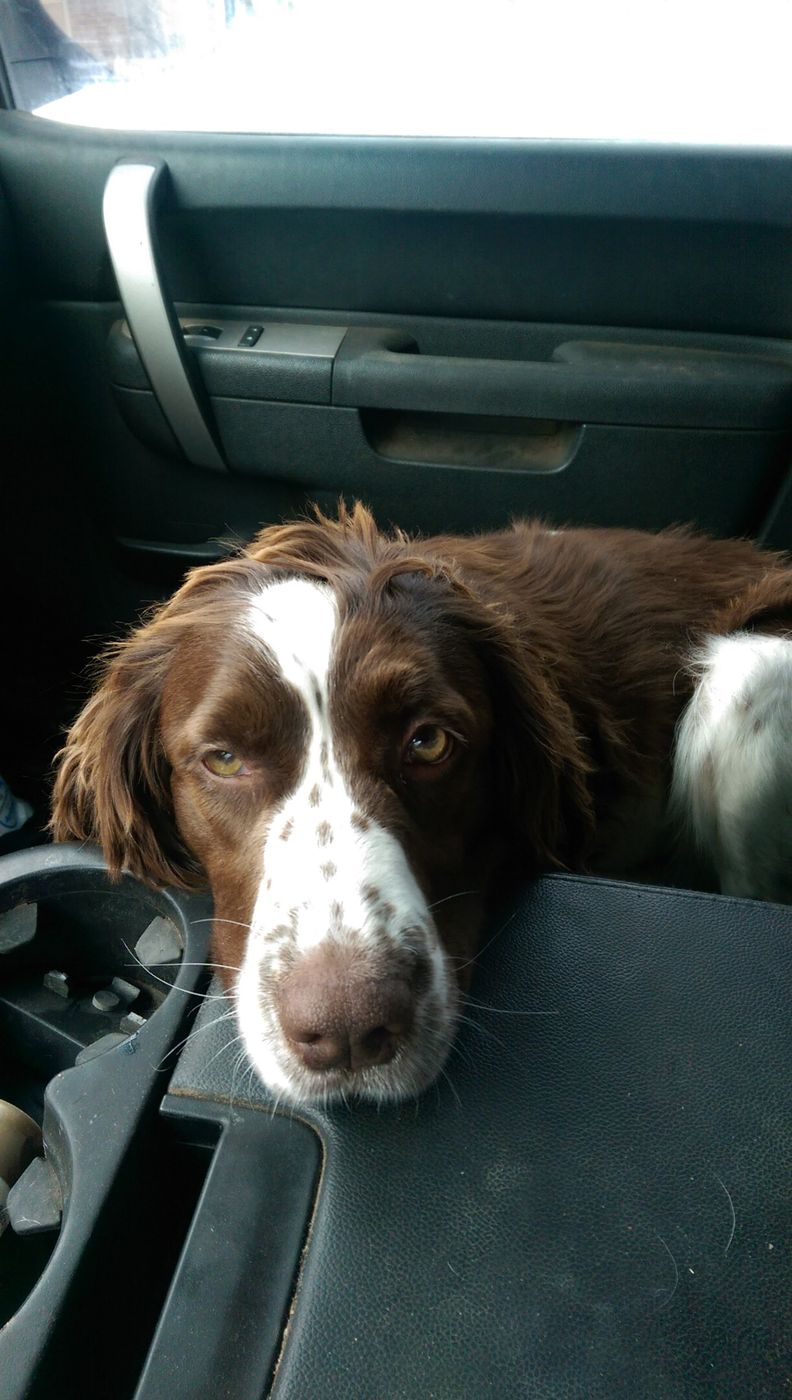 Young Maggie resting her chin on the truck's center console.