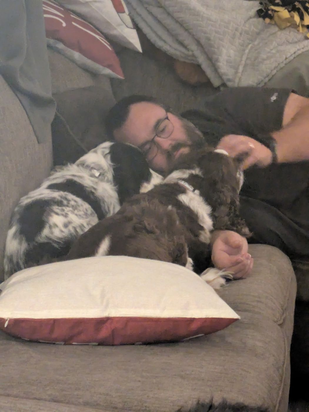 Maggie and another dog piled on top of a napping human on the couch.