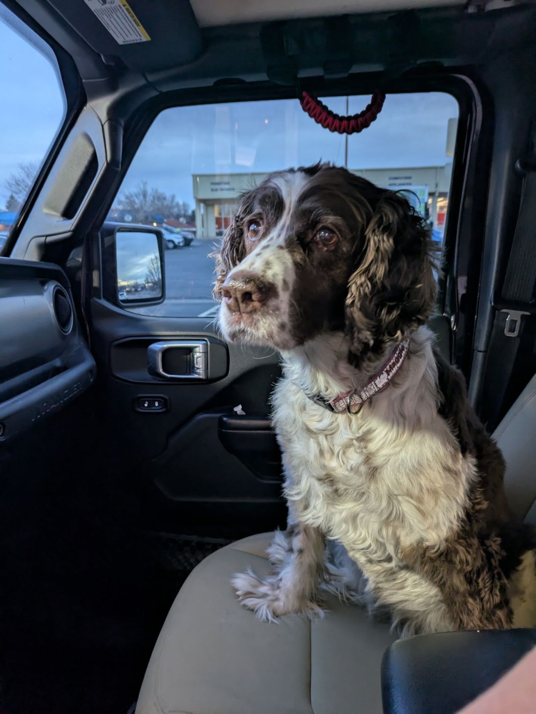 Maggie sitting in the passenger seat of the Jeep.