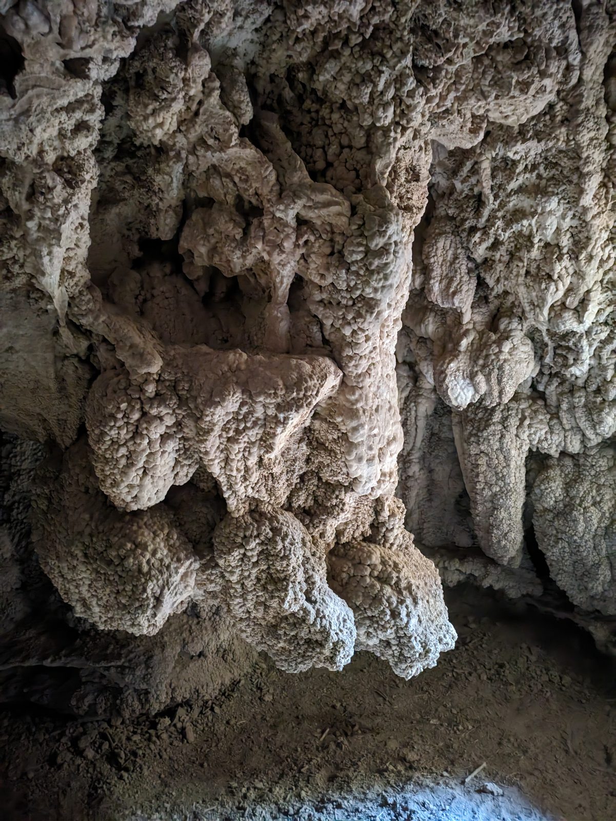A close look at the knobby rock formations on a cave wall at Rifle Falls