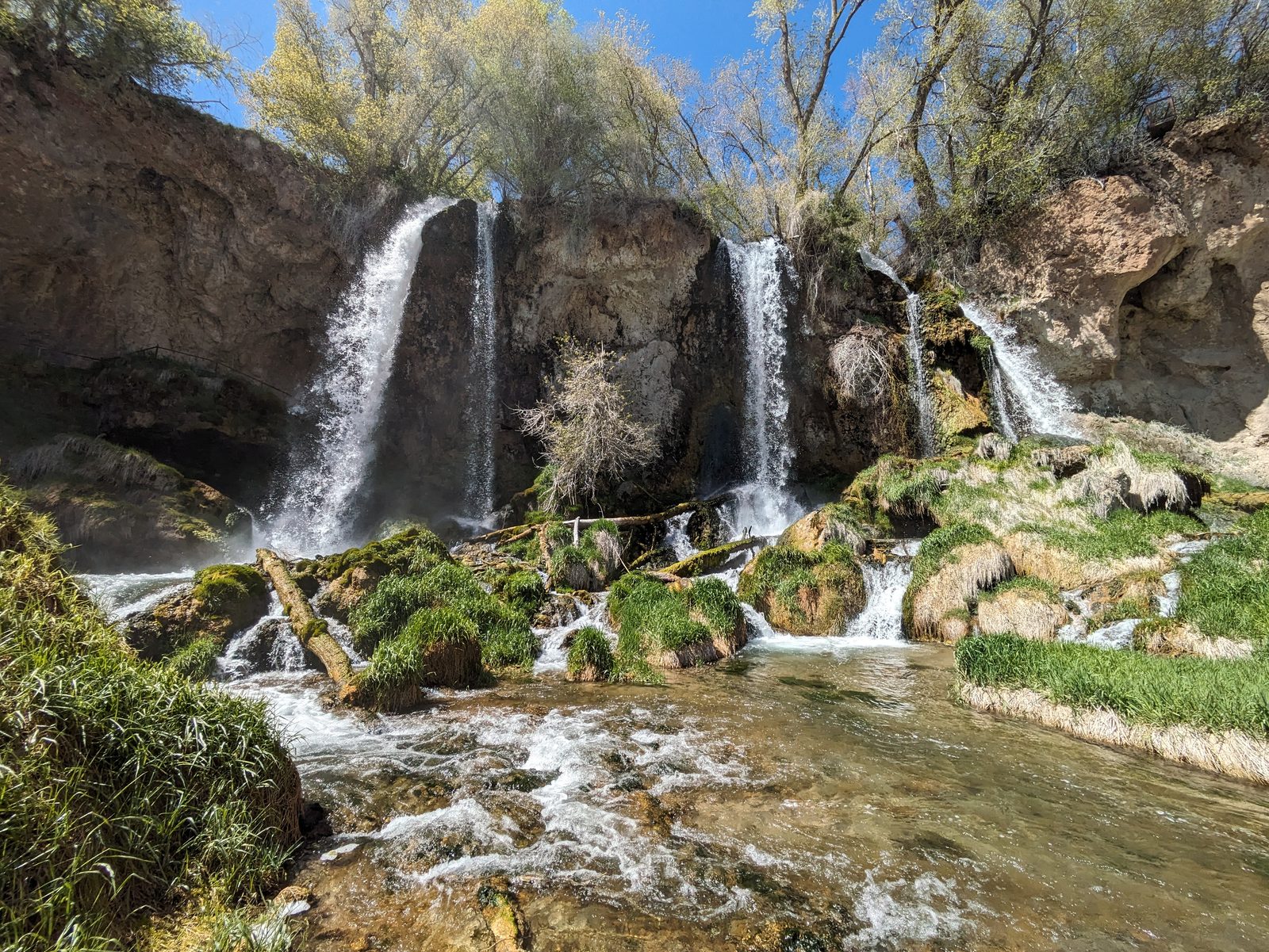 Rifle Falls from below, the water running through grass and logs at the bottom