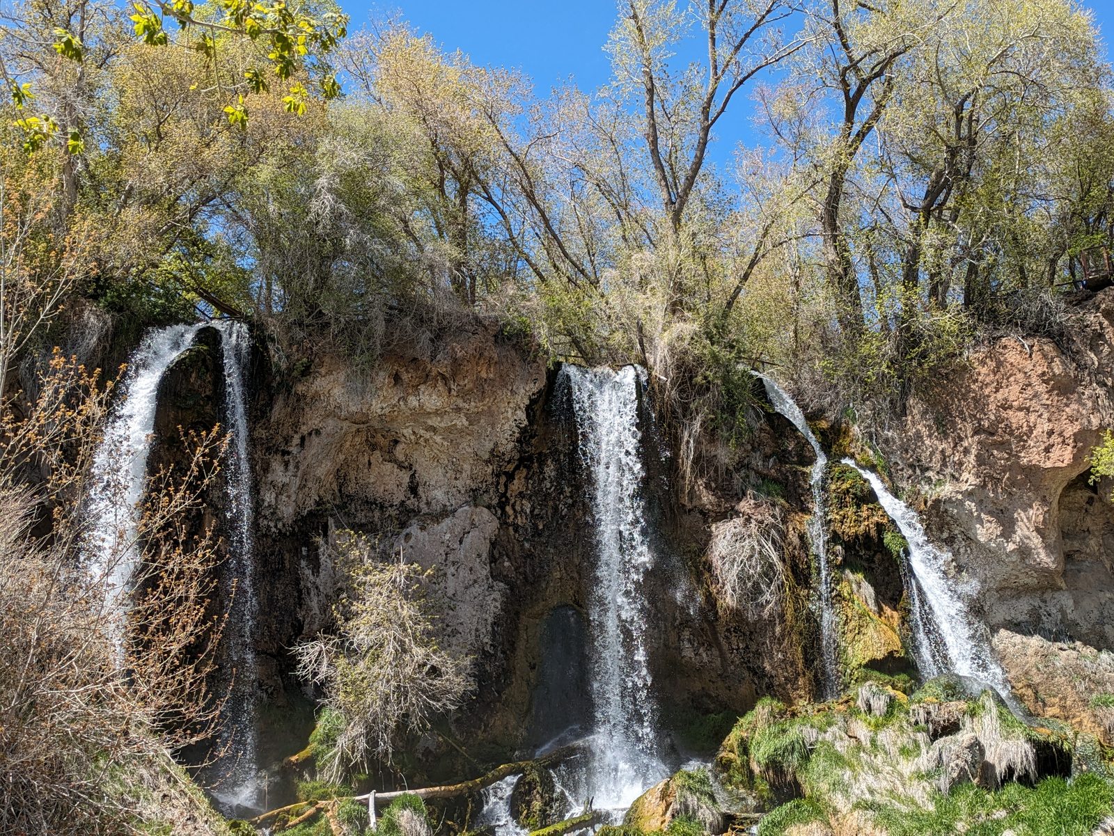 Rifle Falls, three streams of water falling over a mossy cliff under cottonwoods